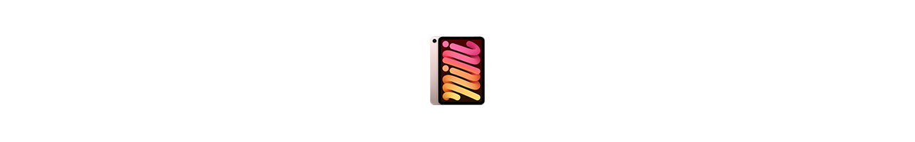 Apple Ipad